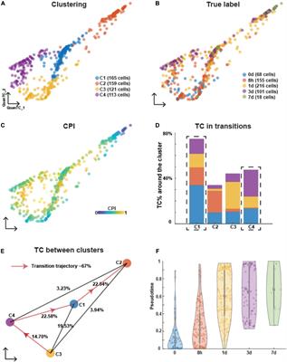 Inference of Intercellular Communications and Multilayer Gene-Regulations of Epithelial–Mesenchymal Transition From Single-Cell Transcriptomic Data